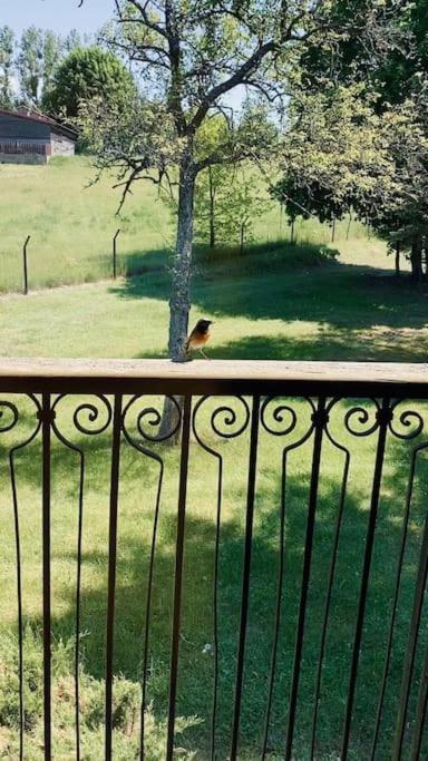 #1 Lakeview Paradise In Mazury, Pets Welcome Kosewo  Luaran gambar